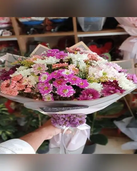 Renkli Kasımpatı Buketi