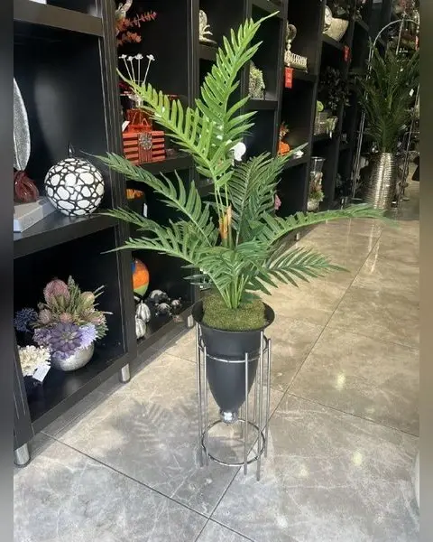 Siyah Vazoda Yapay Areka